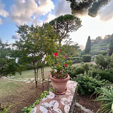 Giardino In Margherita Daire *