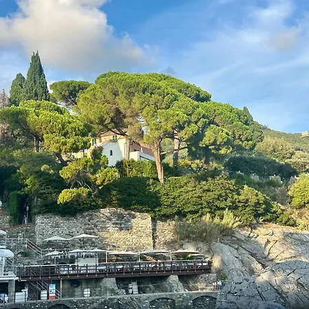 Giardino In Margherita *