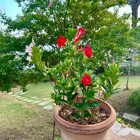 Giardino In Margherita 公寓 佐阿利