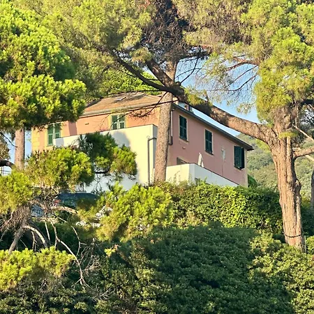 Giardino In Margherita *