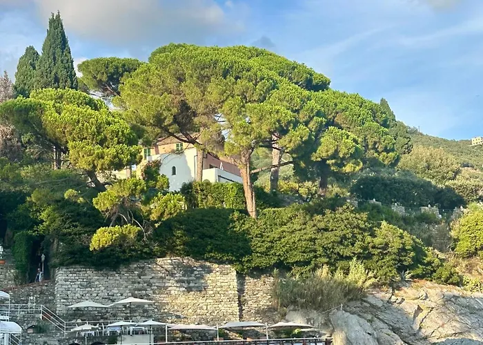 Giardino In Margherita *