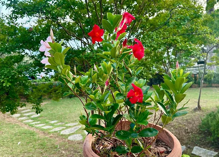 Giardino In Margherita Apartament Zoagli